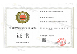 國內(nèi)領先證書